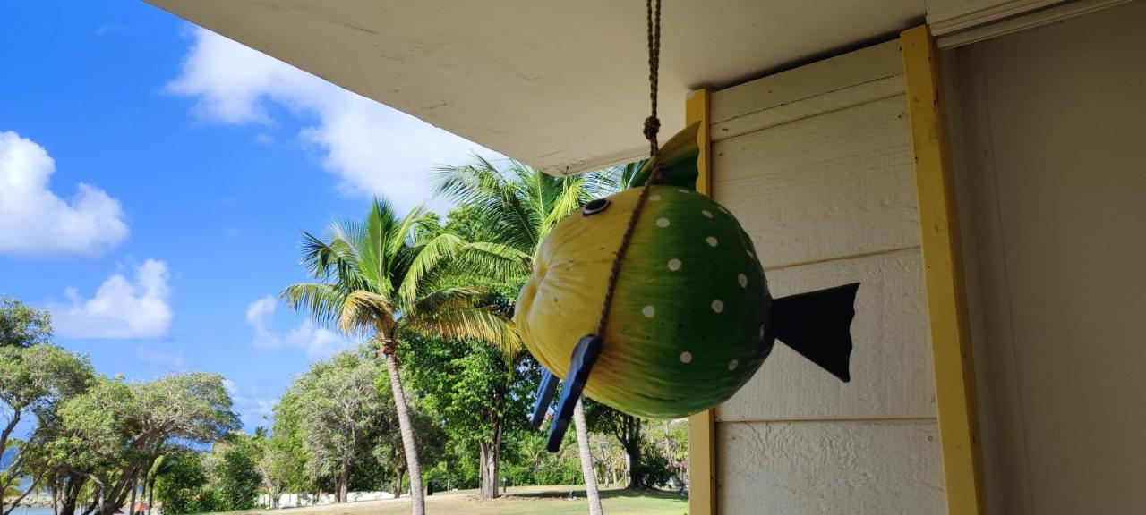 Studio Vue Mer Guadeloupe Sainte-Anne  Esterno foto